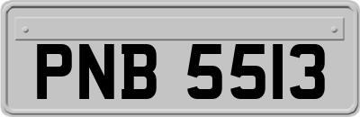 PNB5513