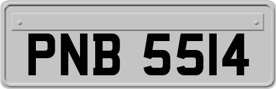 PNB5514