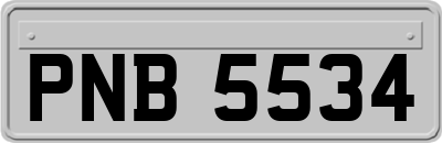PNB5534