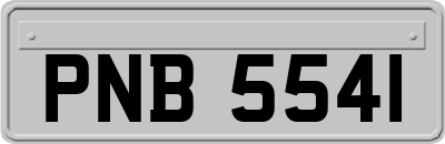 PNB5541