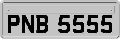 PNB5555