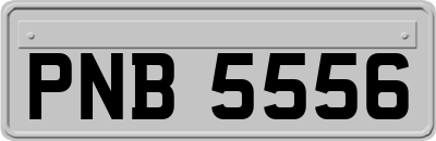 PNB5556
