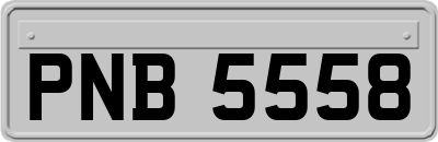 PNB5558