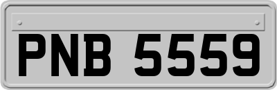 PNB5559