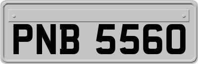 PNB5560