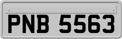 PNB5563