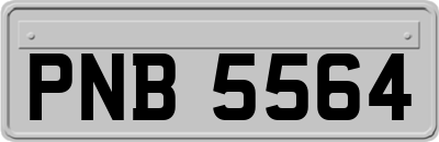 PNB5564