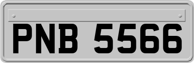 PNB5566