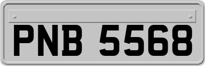 PNB5568
