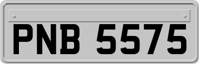 PNB5575