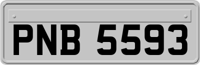 PNB5593