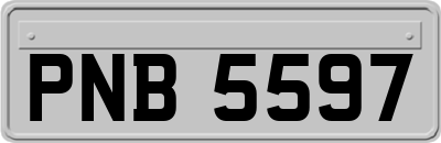 PNB5597