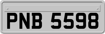 PNB5598