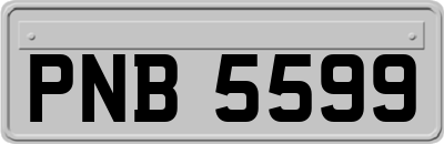 PNB5599