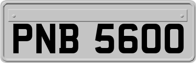 PNB5600