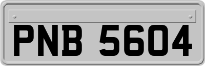 PNB5604
