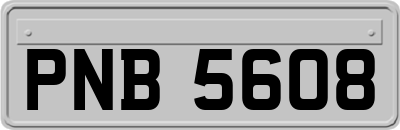 PNB5608