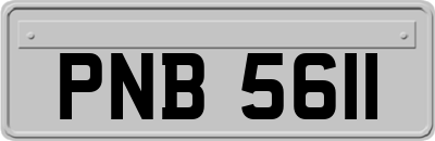 PNB5611