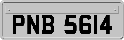 PNB5614