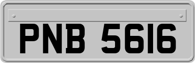 PNB5616