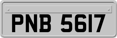 PNB5617