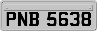 PNB5638