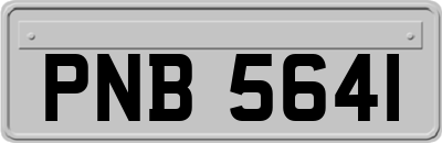 PNB5641