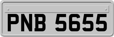 PNB5655