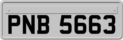 PNB5663