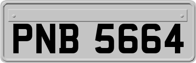 PNB5664