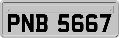 PNB5667