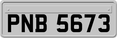 PNB5673