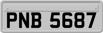 PNB5687