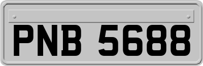 PNB5688