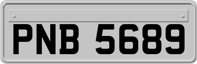 PNB5689