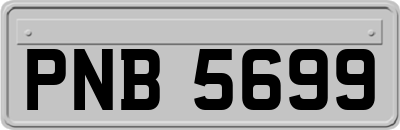 PNB5699