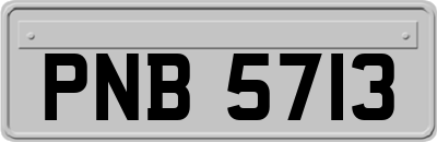 PNB5713
