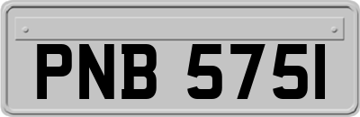 PNB5751