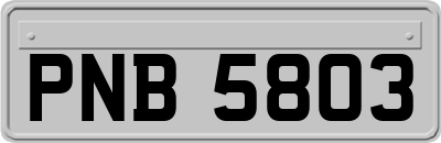 PNB5803