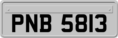 PNB5813