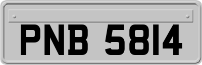 PNB5814