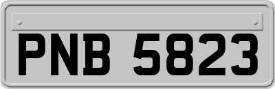 PNB5823
