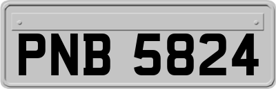 PNB5824