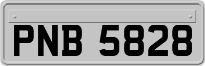 PNB5828