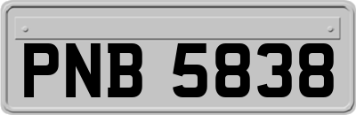 PNB5838