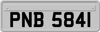 PNB5841