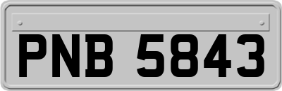 PNB5843