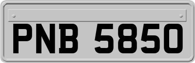 PNB5850