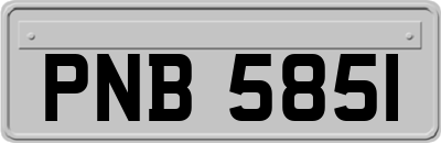 PNB5851