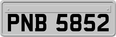 PNB5852